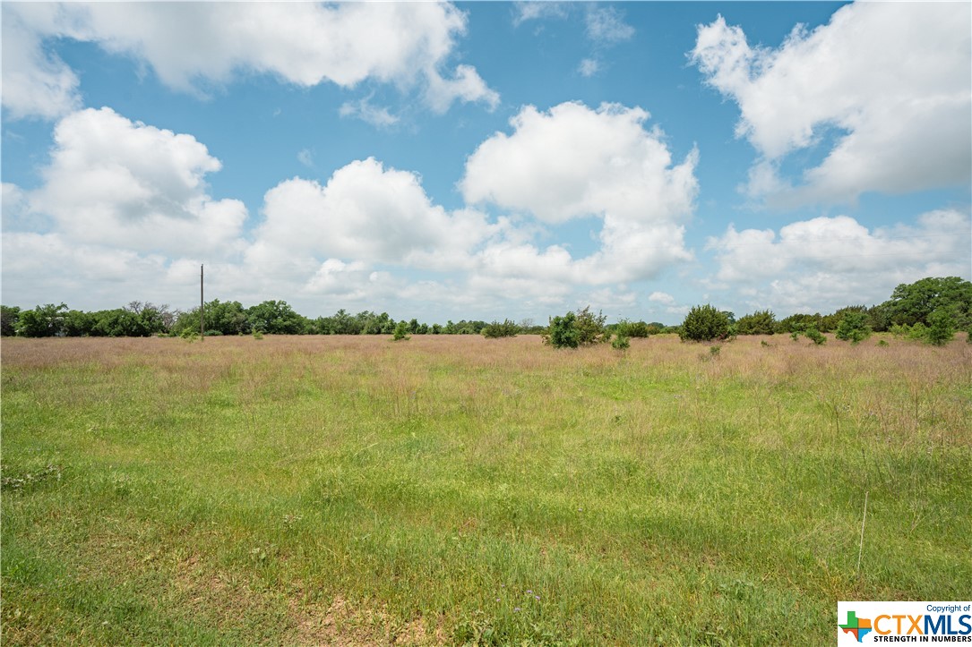 Tbd County Road 213 Property Photo 3