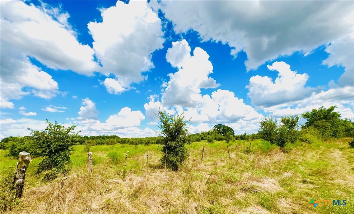 Tbd County Road 213 Property Photo 5