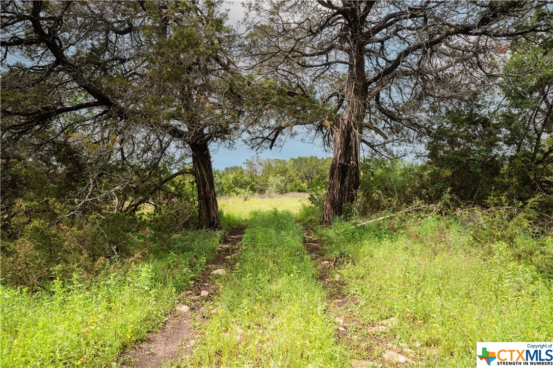 Tbd County Road 213 Property Photo 7