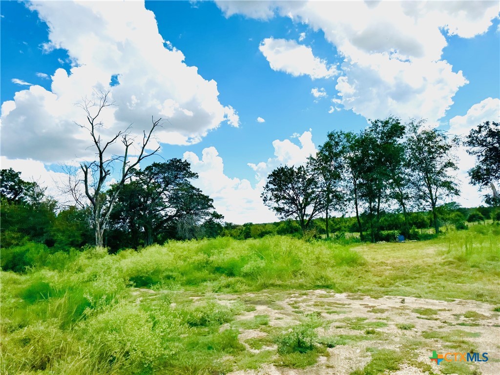 Tbd County Road 213 Property Photo 8