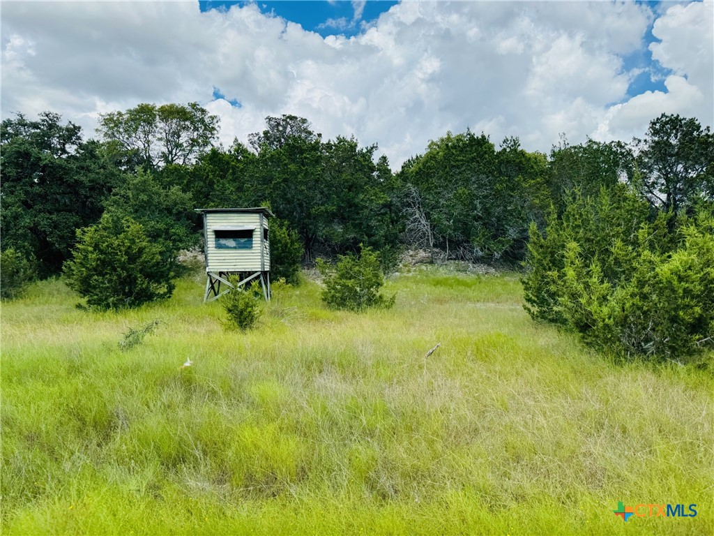 Tbd County Road 213 Property Photo 9