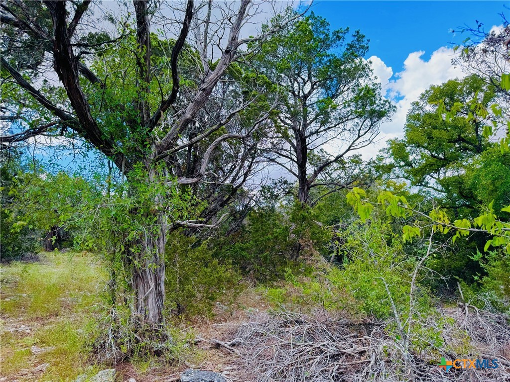 Tbd County Road 213 Property Photo 12