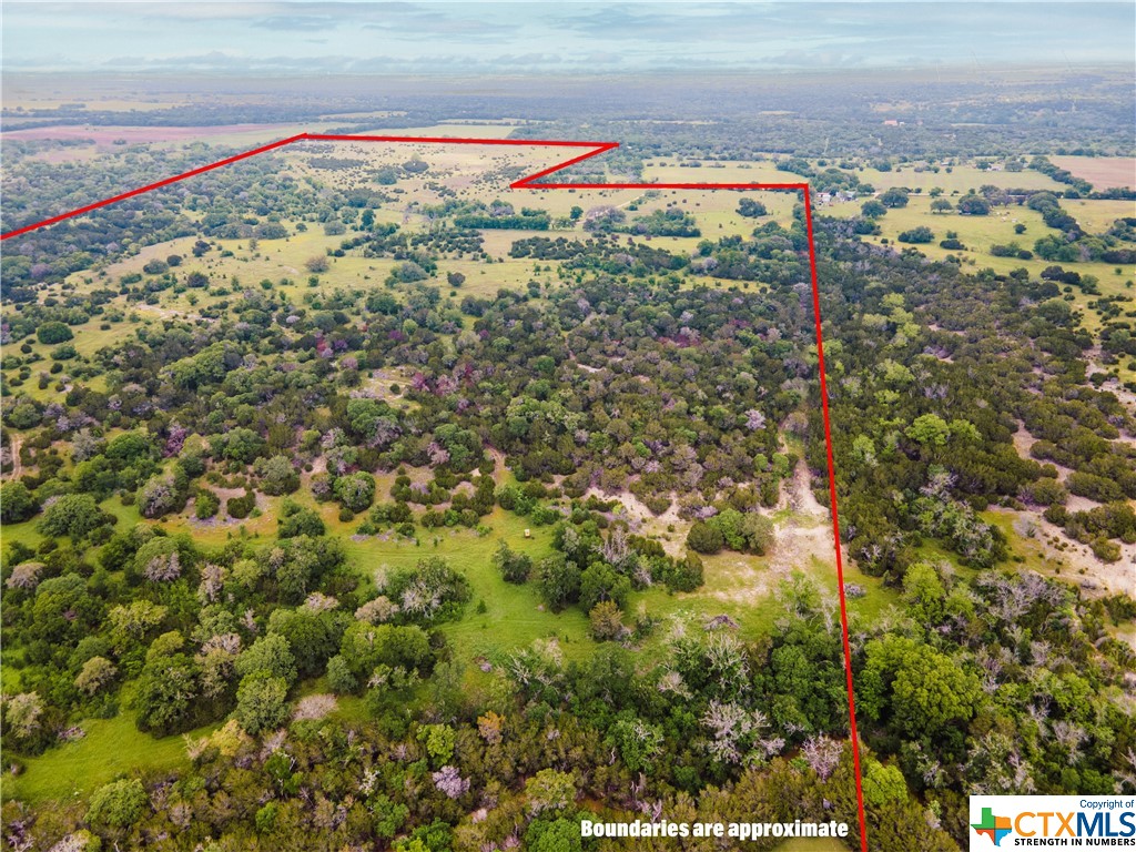 Tbd County Road 213 Property Photo 14