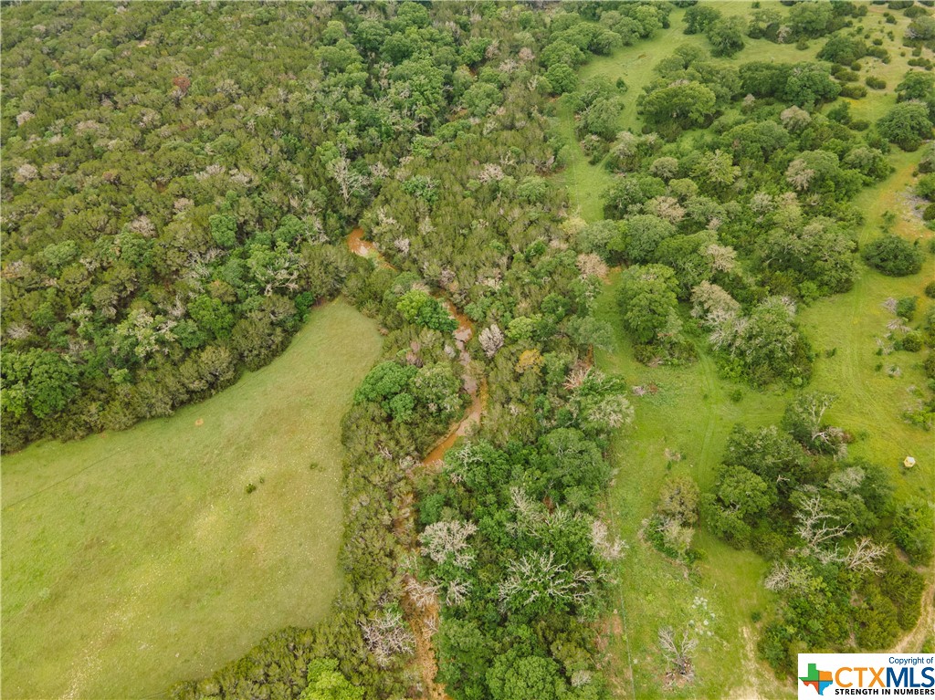 Tbd County Road 213 Property Photo 18
