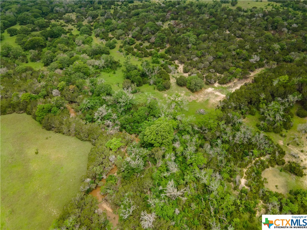 Tbd County Road 213 Property Photo 19