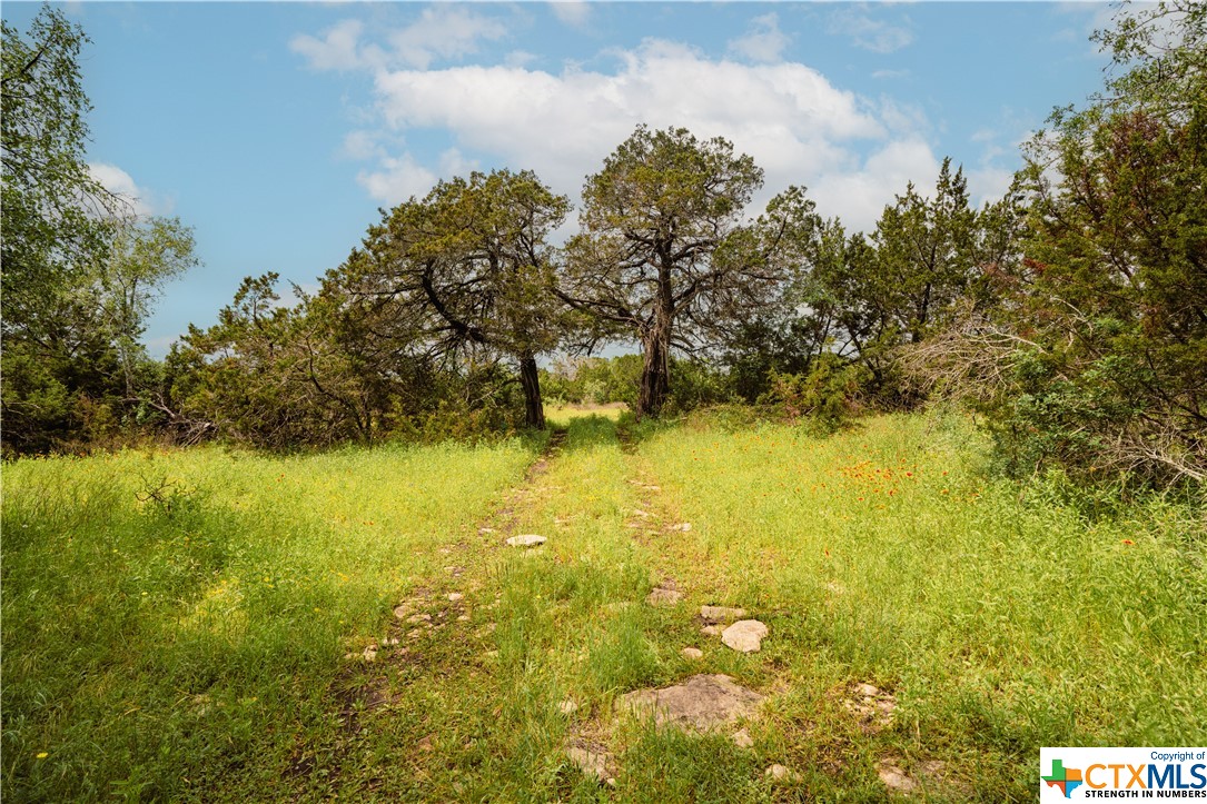 Tbd County Road 213 Property Photo 23
