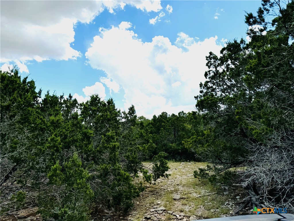 Tbd County Road 213 Property Photo 25