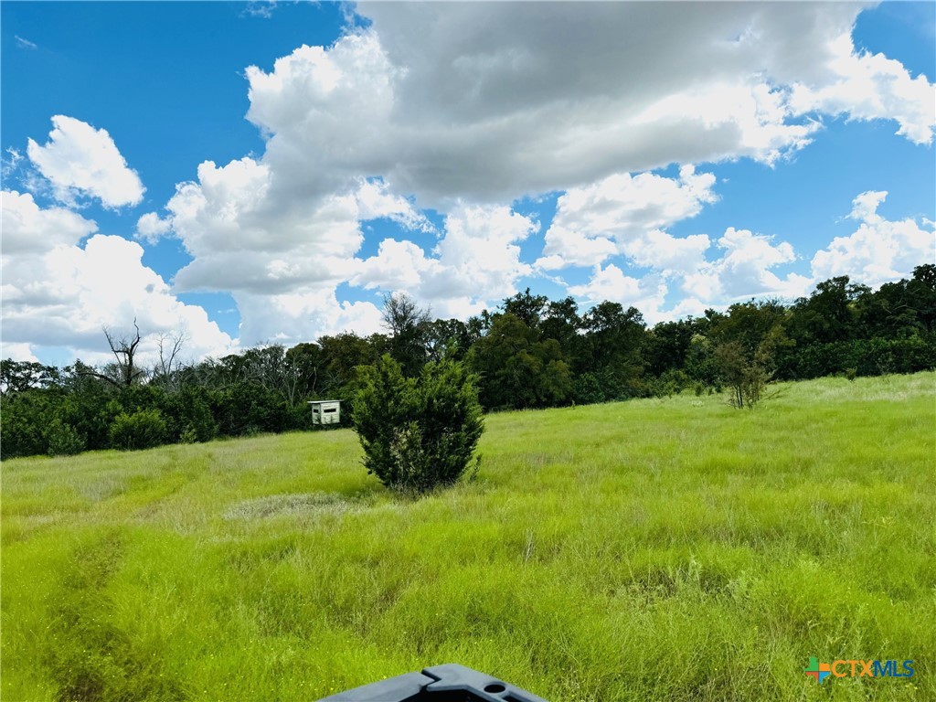 Tbd County Road 213 Property Photo 26