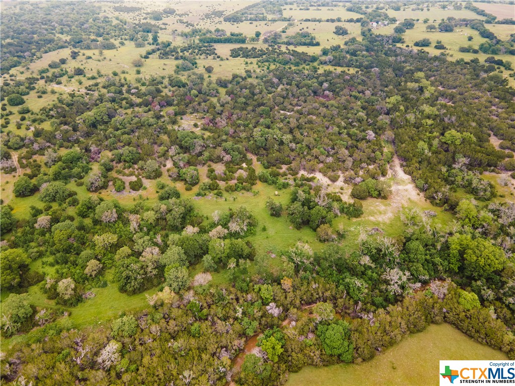 Tbd County Road 213 Property Photo 31