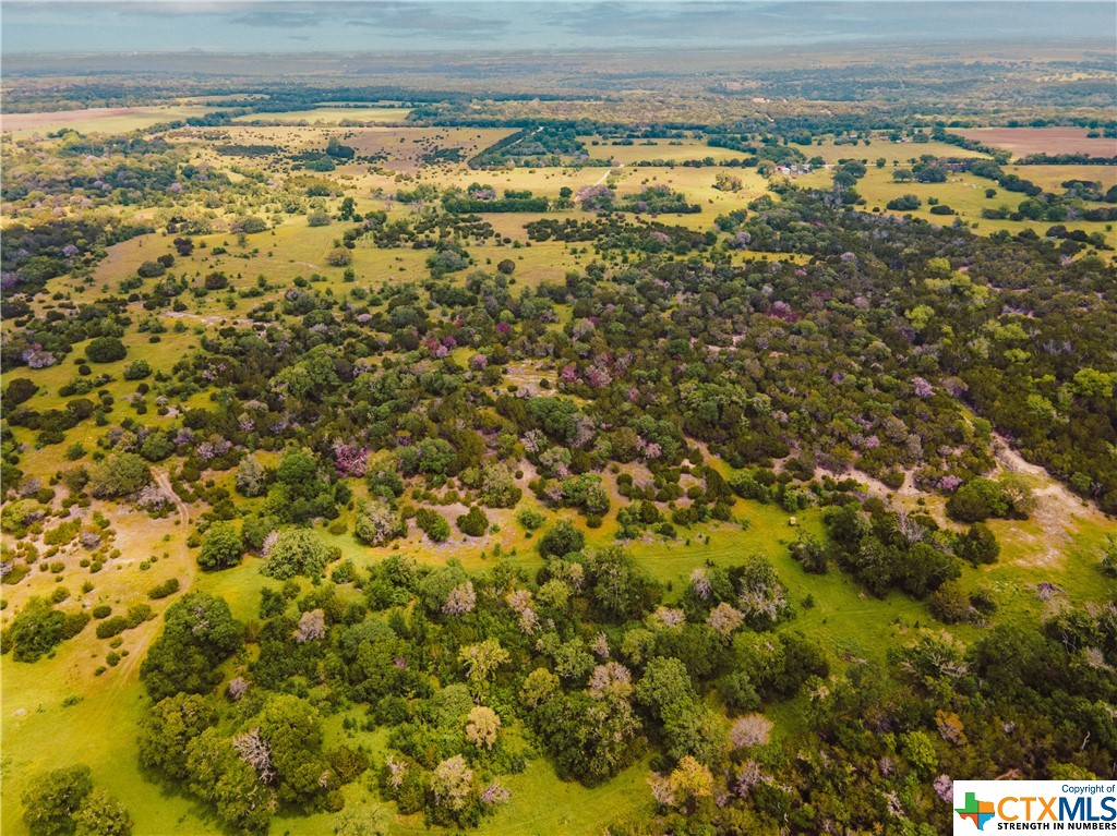 Tbd County Road 213 Property Photo 43