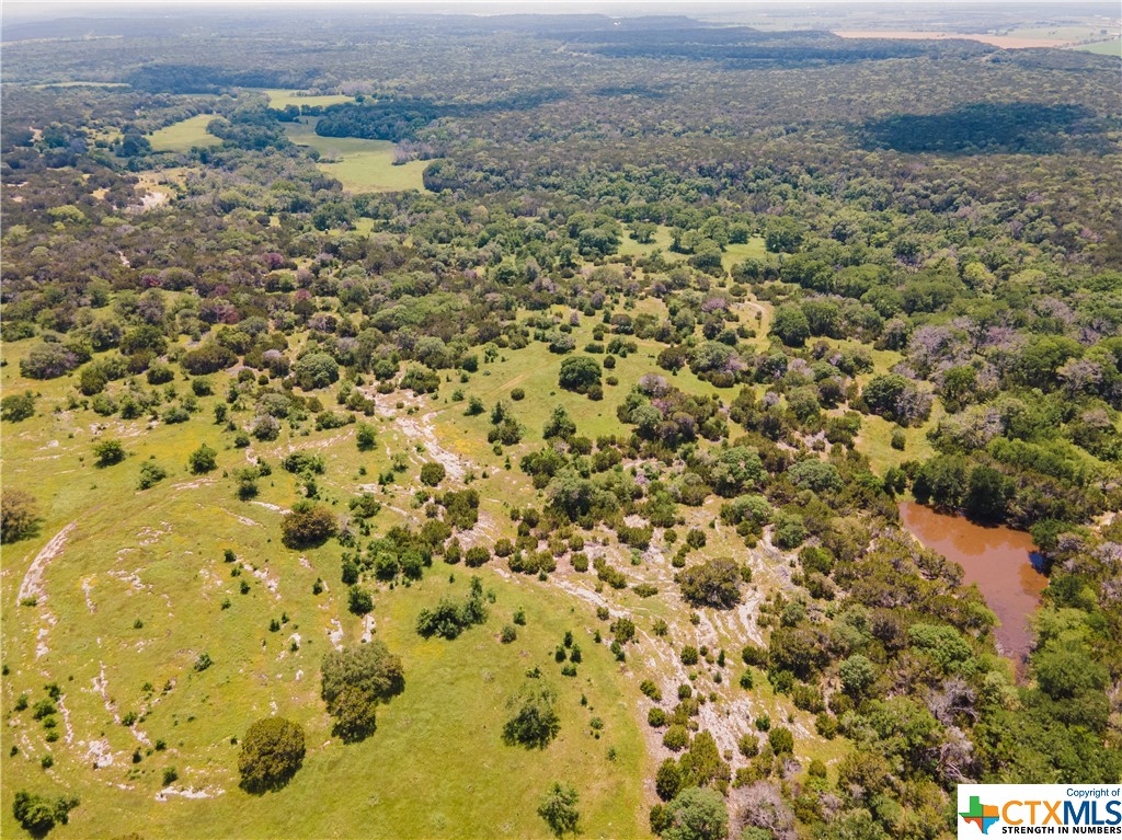 Tbd County Road 213 Property Photo 48