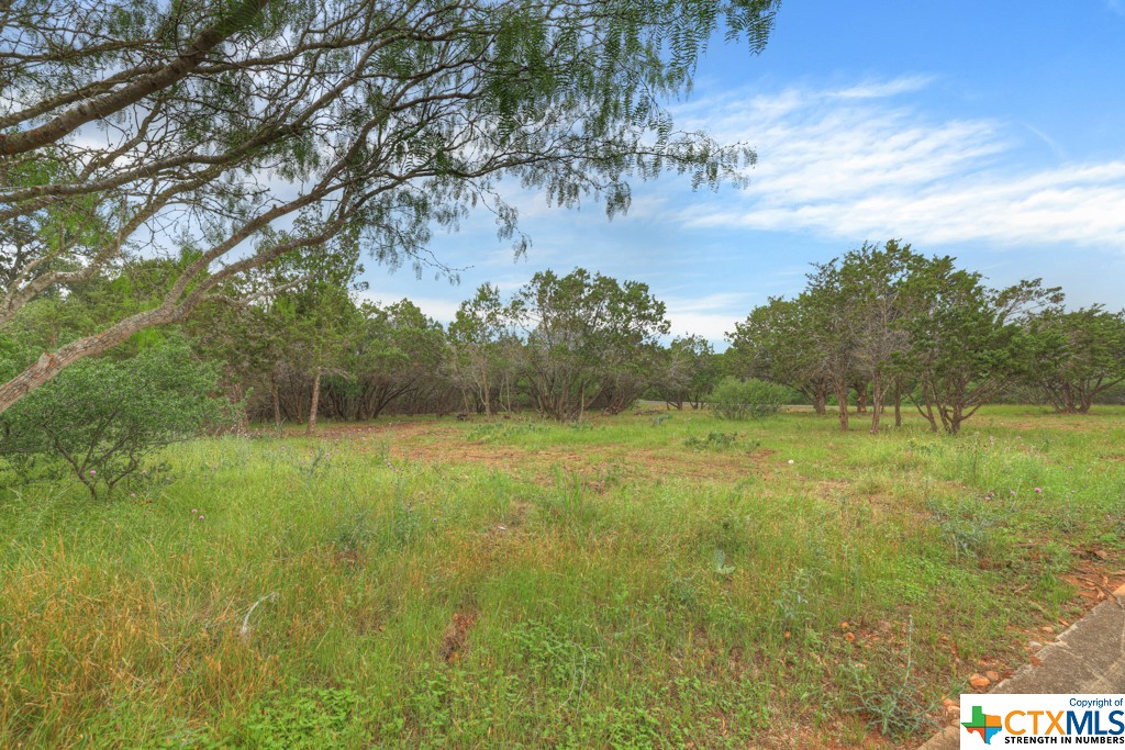 10402 Rinder Farm Court Property Photo 7