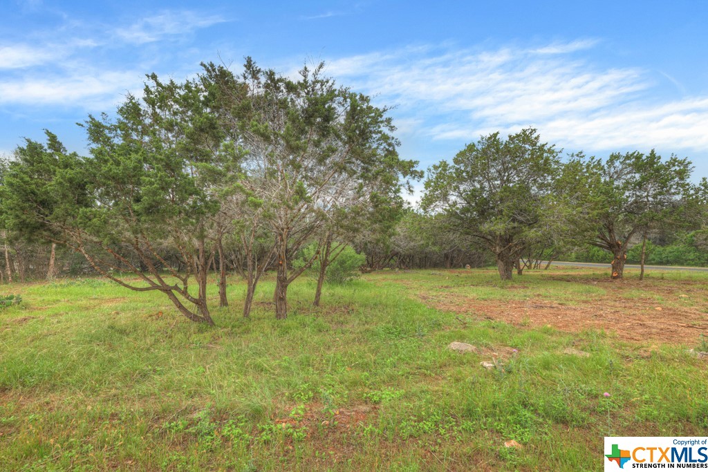 10402 Rinder Farm Court Property Photo 8