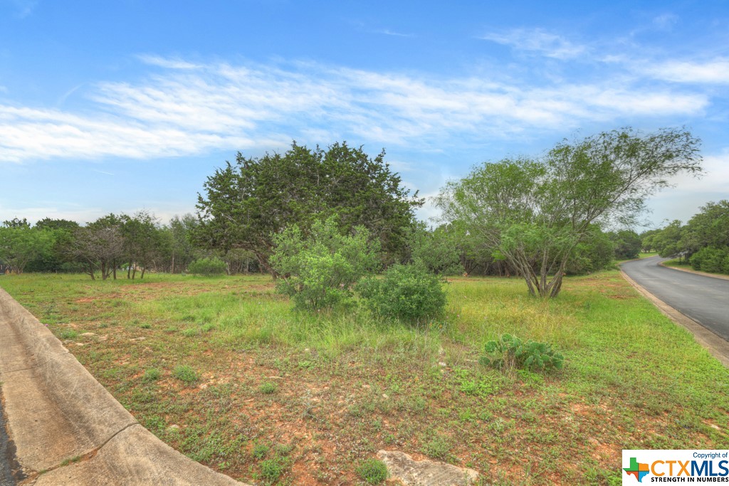 10402 Rinder Farm Court Property Photo 10