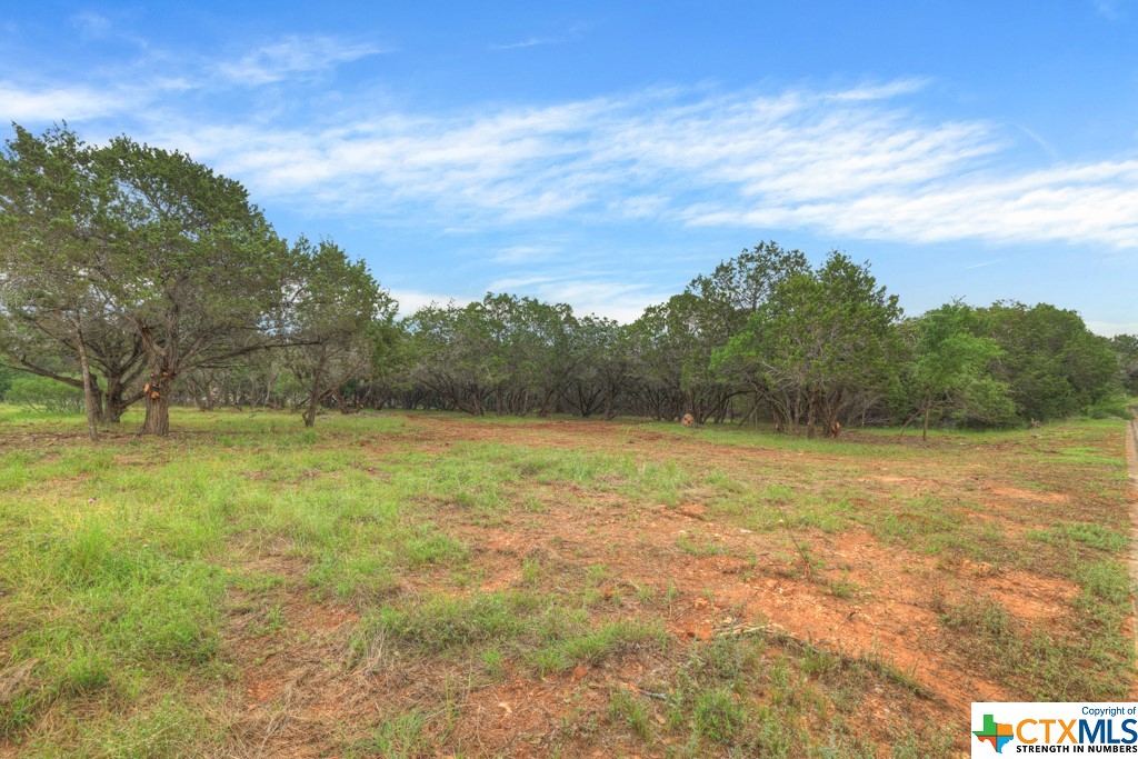 10402 Rinder Farm Court Property Photo 11