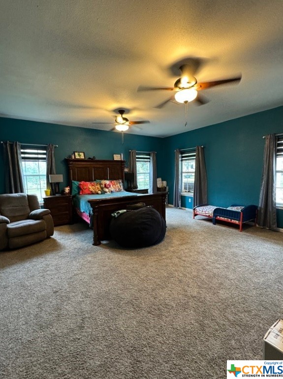 3905 State Highway 123 N Property Photo 17