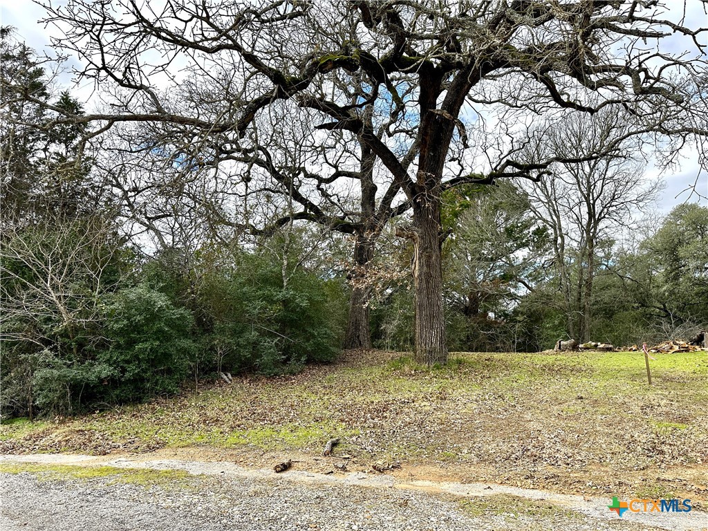 Tbd Highway 71 Property Photo 5