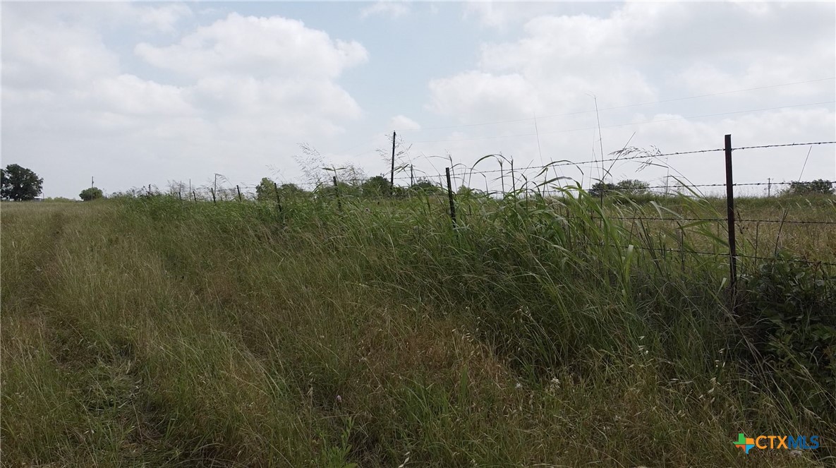 0 Fm 437 Property Photo 4