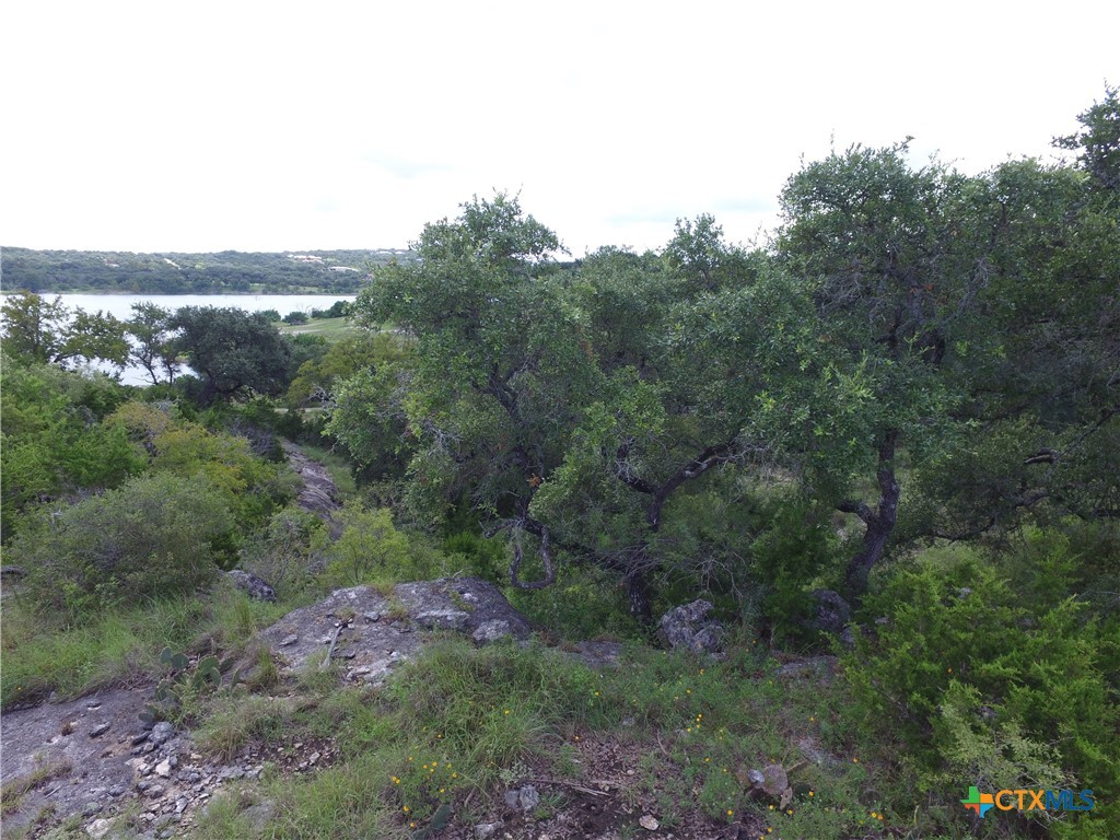 1516 Ensenada Drive Property Photo 4