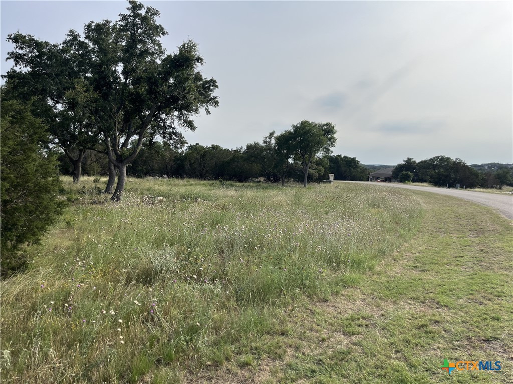 133 Macaw Lane Property Photo 2