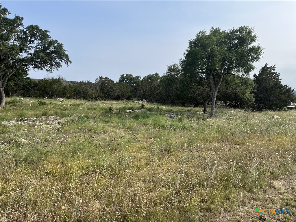 133 Macaw Lane Property Photo 7