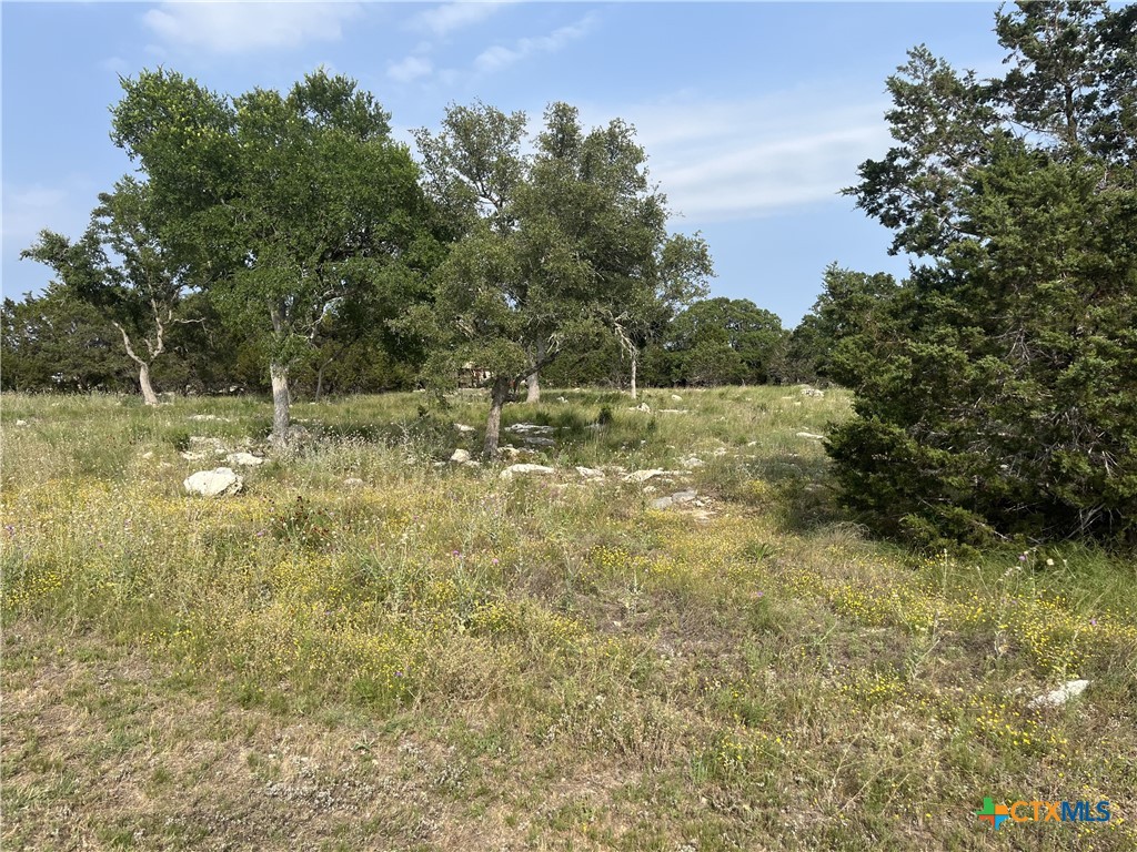 133 Macaw Lane Property Photo 8