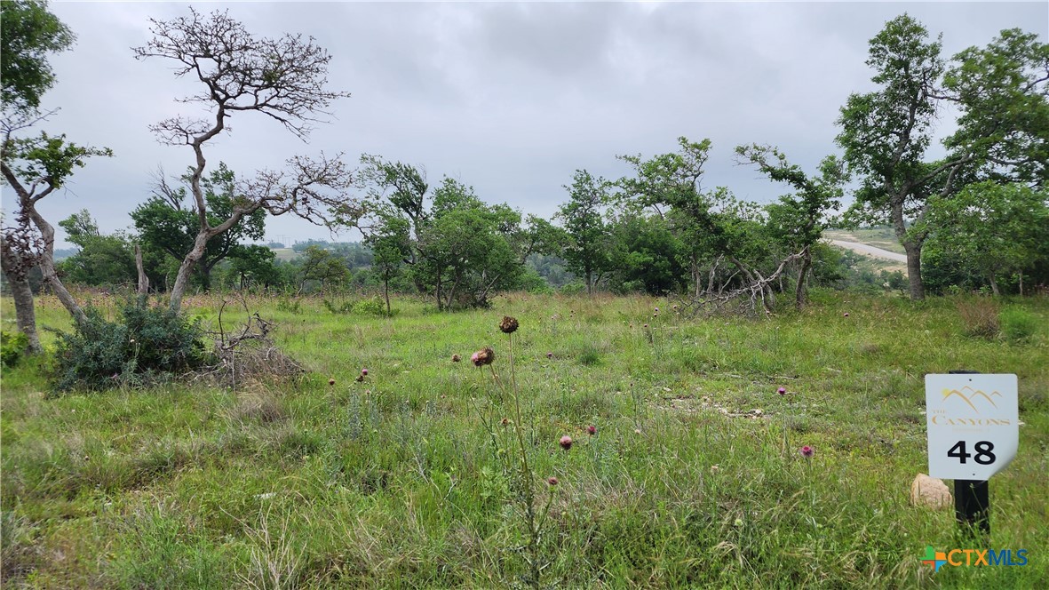 Lot 48 Ridgeline Road Property Photo 1