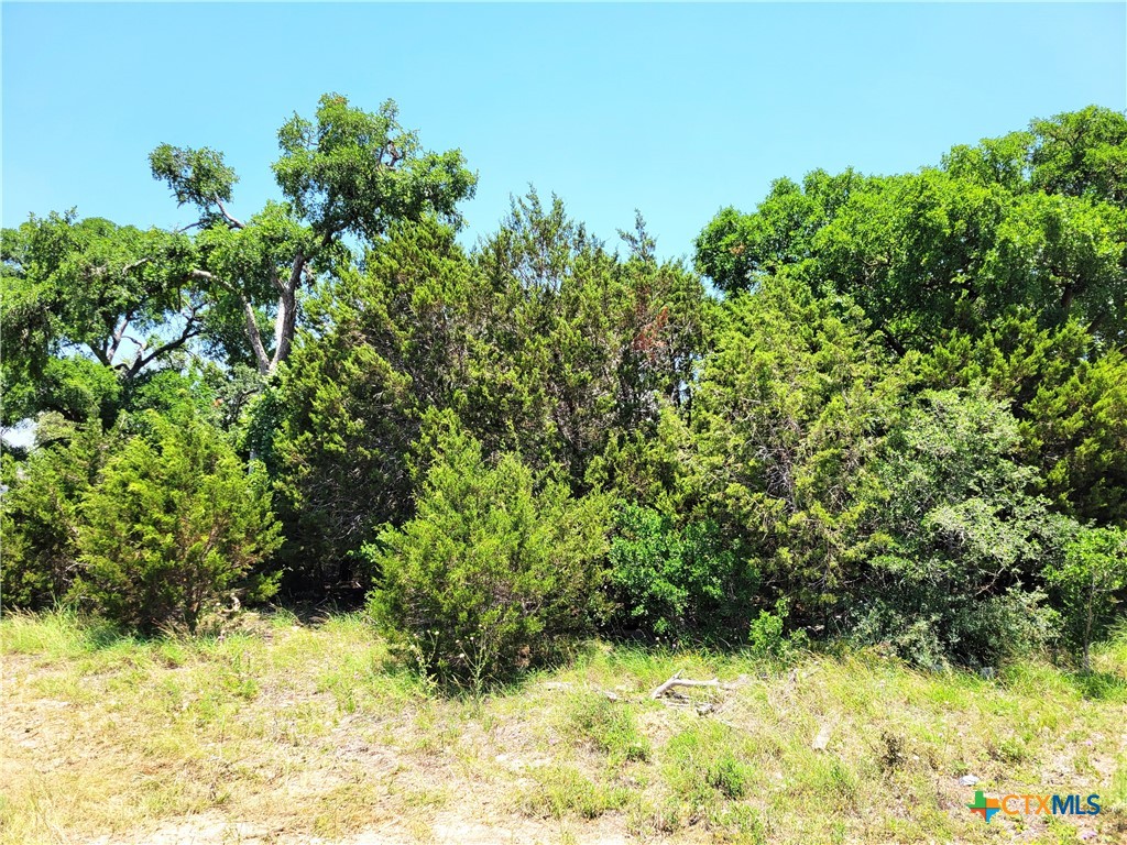 1318 Mystic Shores Boulevard Property Photo