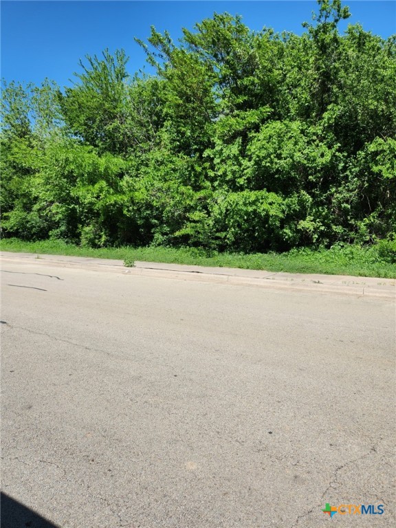 1193 Brazos Avenue Property Photo 2