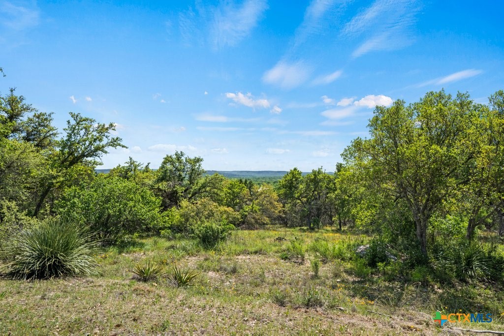 211 Joe Wimberley Boulevard Property Photo 3