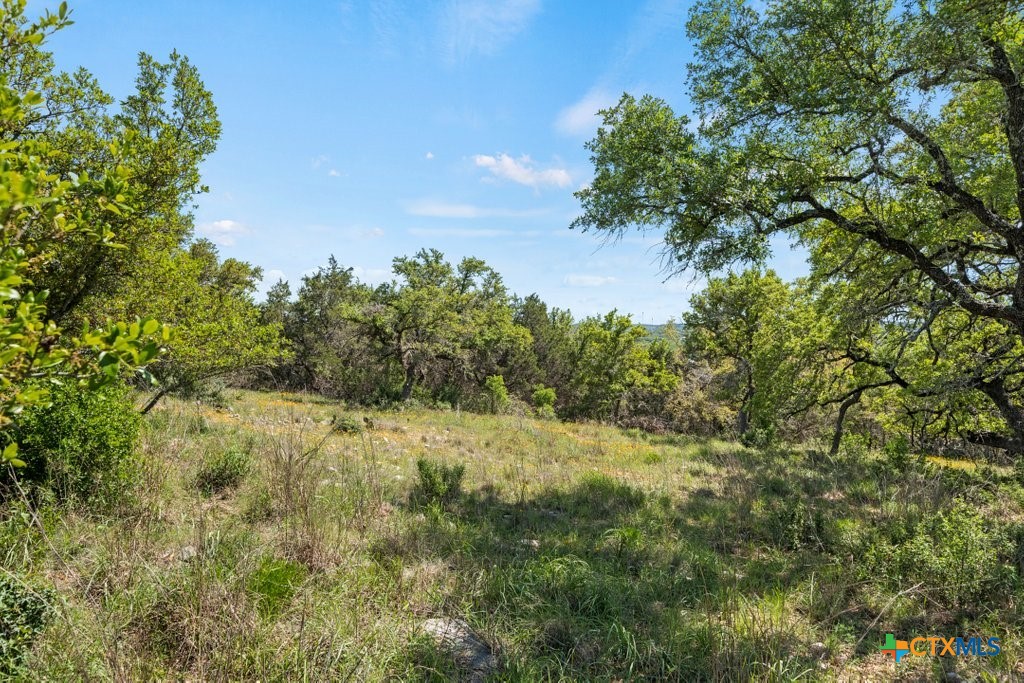 211 Joe Wimberley Boulevard Property Photo 4