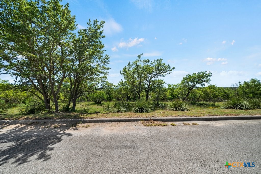 211 Joe Wimberley Boulevard Property Photo 5