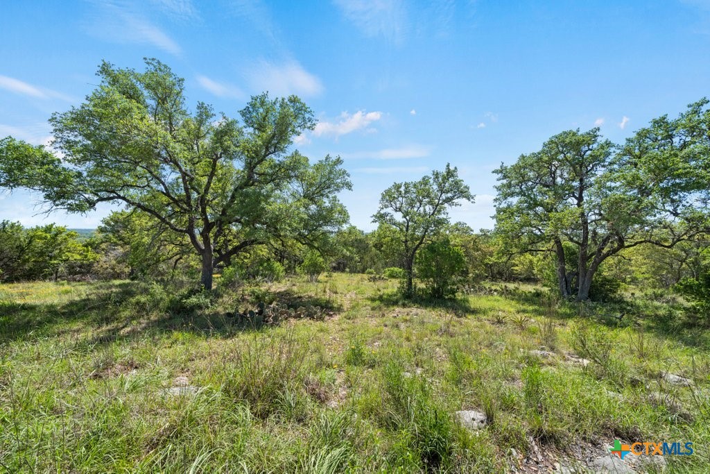 211 Joe Wimberley Boulevard Property Photo 7