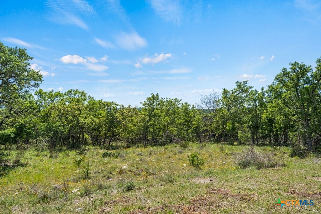 211 Joe Wimberley Boulevard Property Photo 8