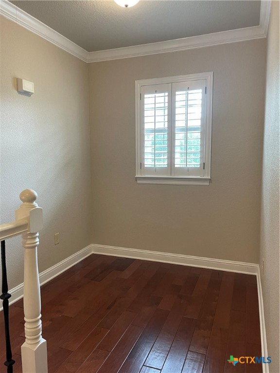 3104 Sabine Cove Property Photo 15