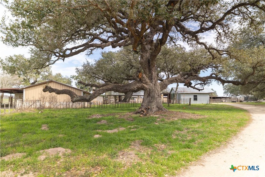 1157 Tulley Road Property Photo 35