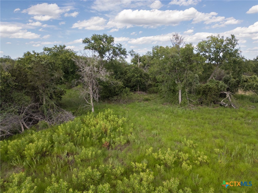 Tbd Fm-1241 Property Photo 5