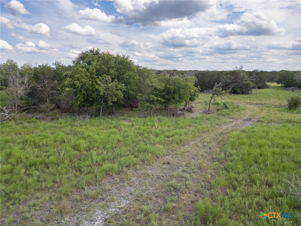 Tbd Fm-1241 Property Photo 11