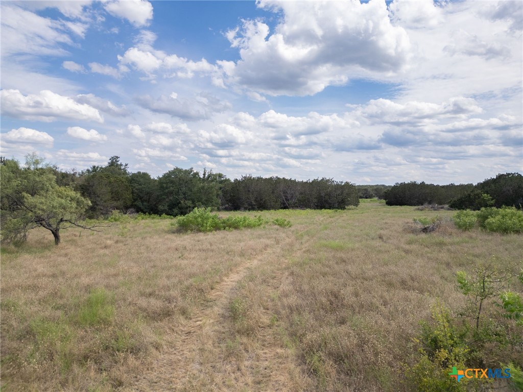 Tbd Fm-1241 Property Photo 13