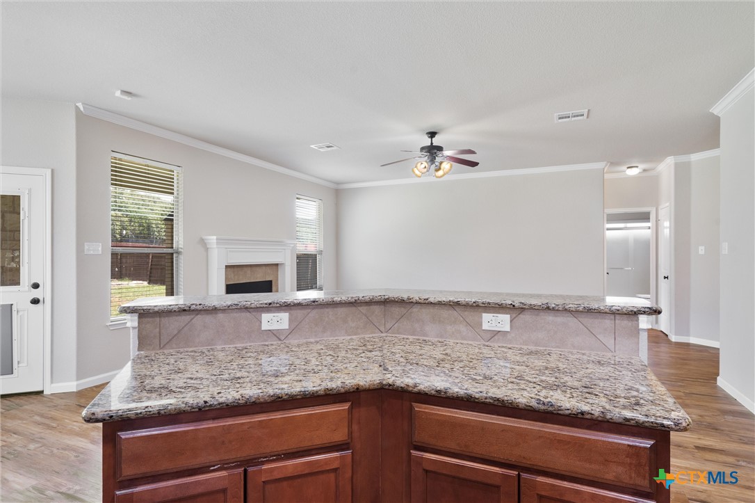 3903 Scenic Trail Drive Property Photo 18