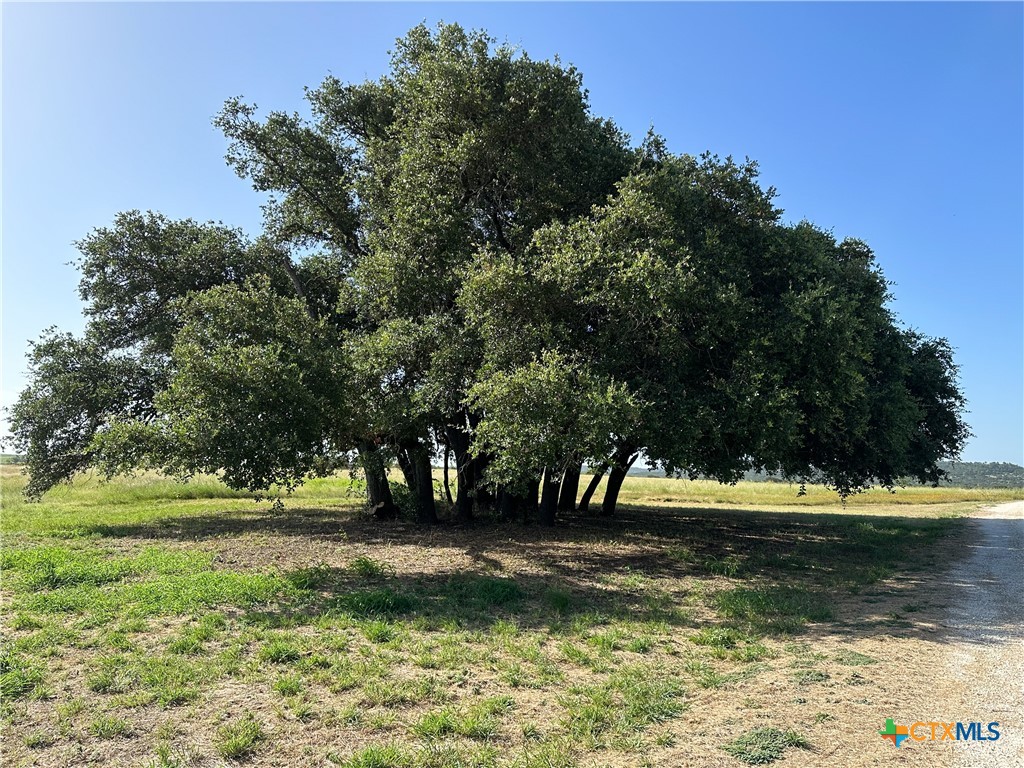 1360 County Road 137 Property Photo 33