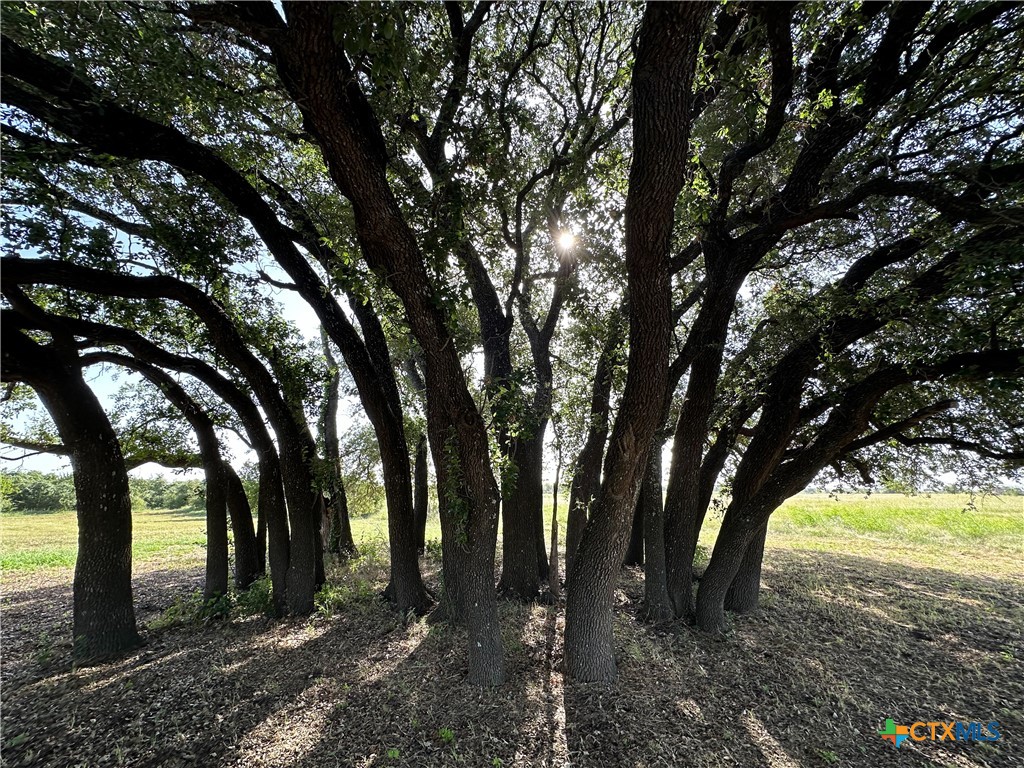 1360 County Road 137 Property Photo 34