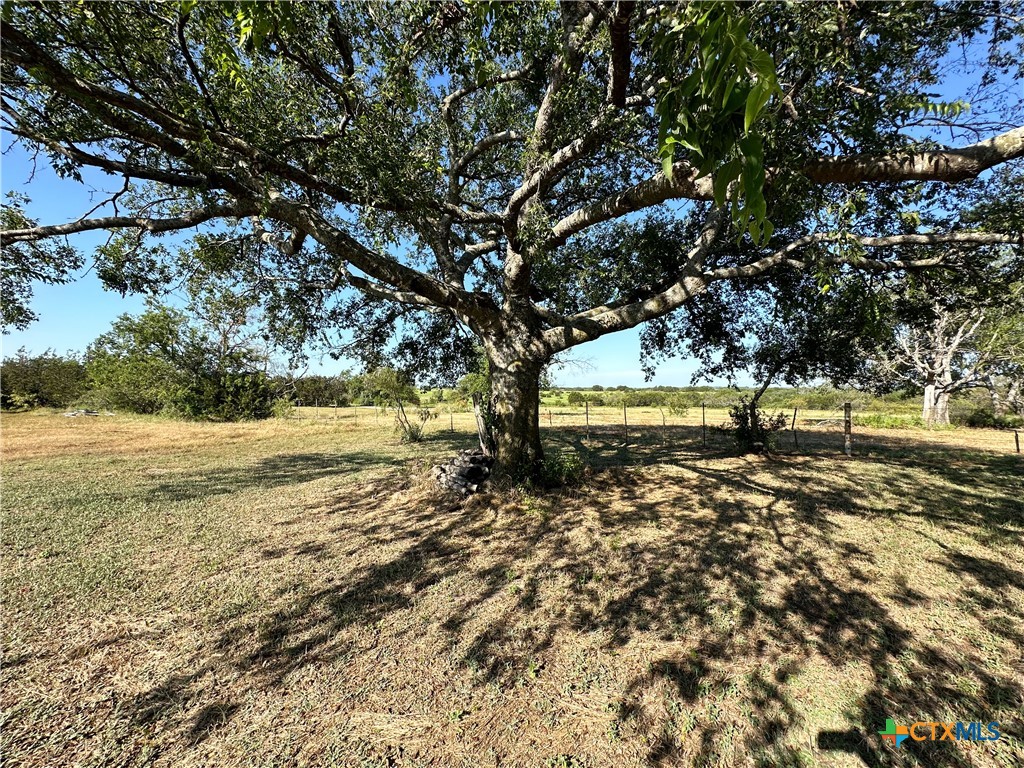 1360 County Road 137 Property Photo 37