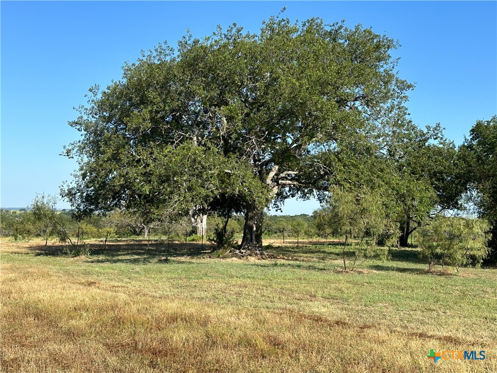 1360 County Road 137 Property Photo 38