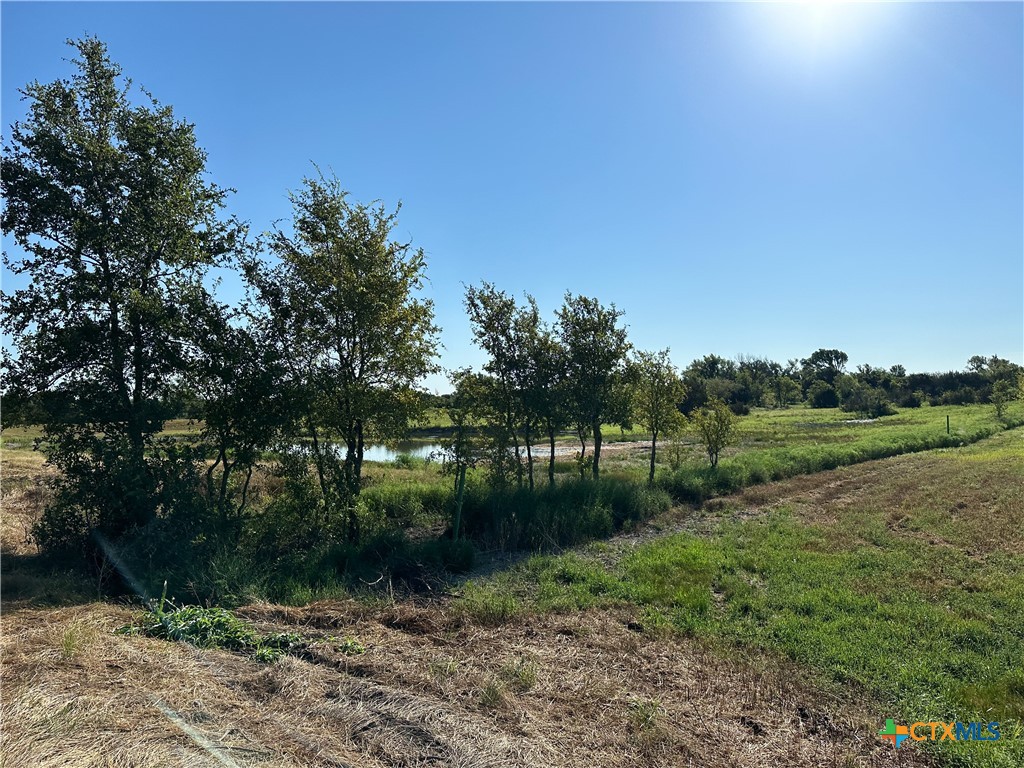 1360 County Road 137 Property Photo 40