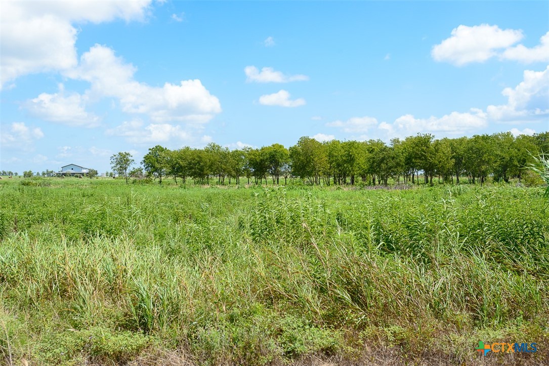 TBD Vaughn Road Property Photo 1