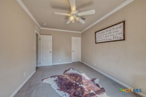 875 County Road 231 Property Photo 25