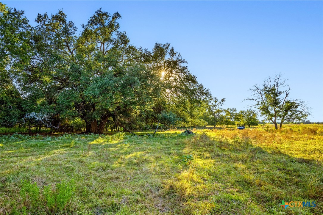 19587 Vilas Road Property Photo