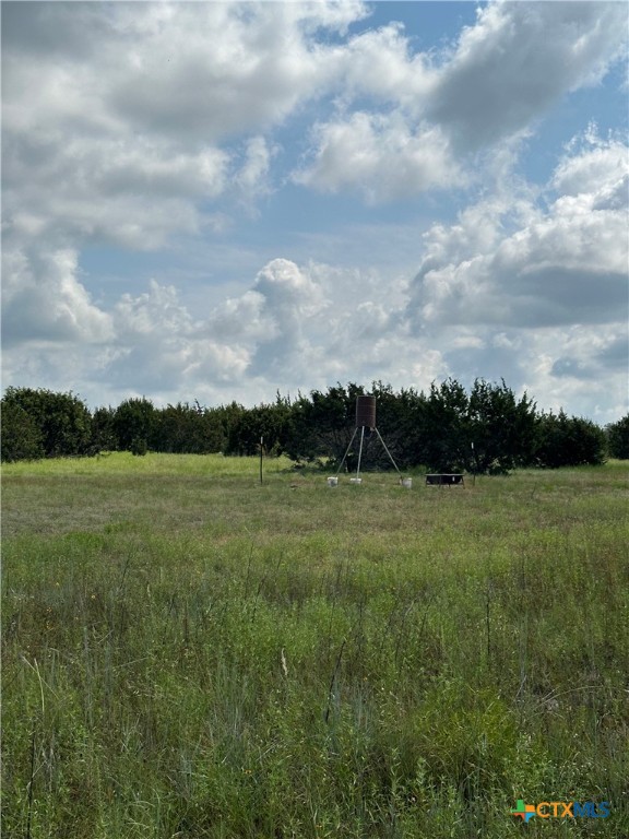 542 County Road 2275 Property Photo 8