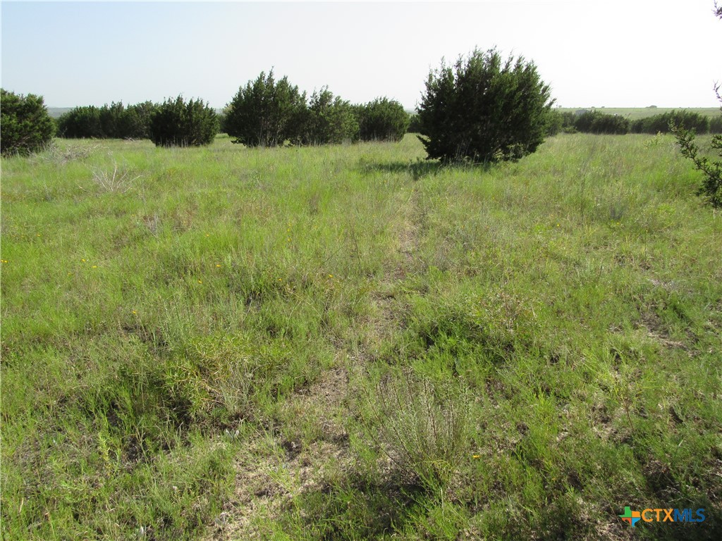 542 County Road 2275 Property Photo 12